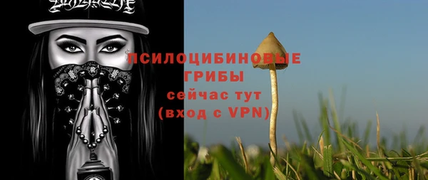 тгк Балабаново